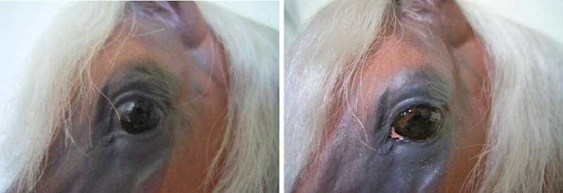 rm5.jpg (159662 Byte)